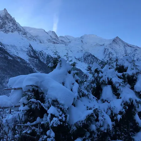 Appartement Mont Blanc 43, vue Mont Blanc , balcon, parking à Chamonix Extérieur photo