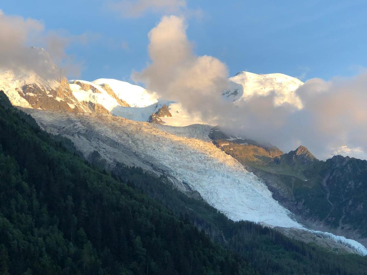 Apartment Mont Blanc 43, Vue Mont Blanc , Balcon, Parking Chamonix
