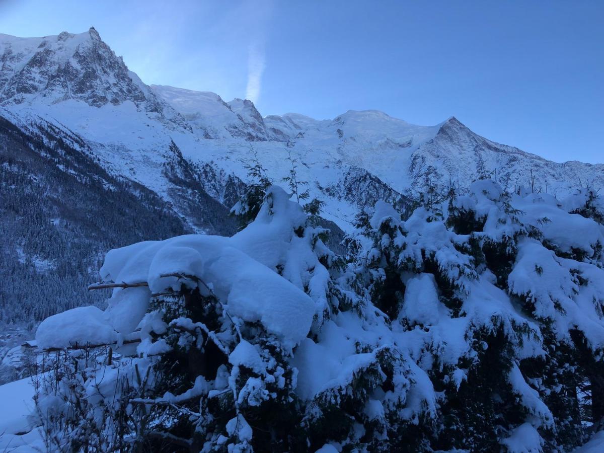 Mont Blanc 43, Vue Mont Blanc , Balcon, Parking Apartment *