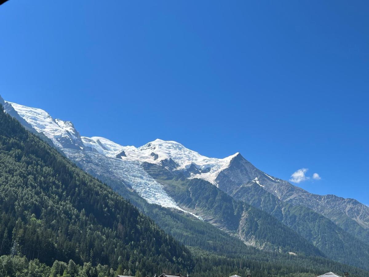 Apartment Mont Blanc 43, Vue Mont Blanc , Balcon, Parking Chamonix