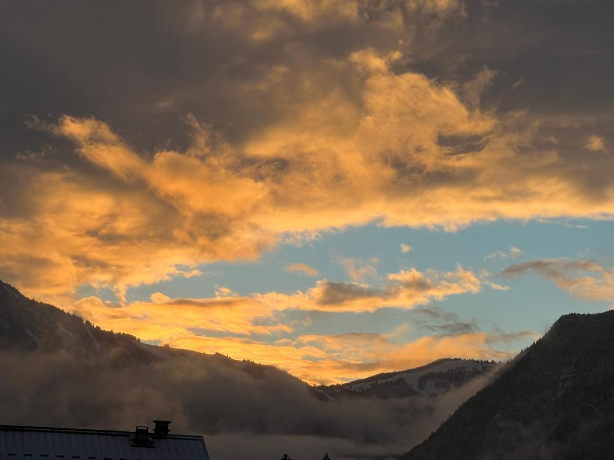 Apartment Mont Blanc 43, Vue Mont Blanc , Balcon, Parking Chamonix
